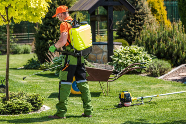 Lawn Pest Control in Glasgow, MT